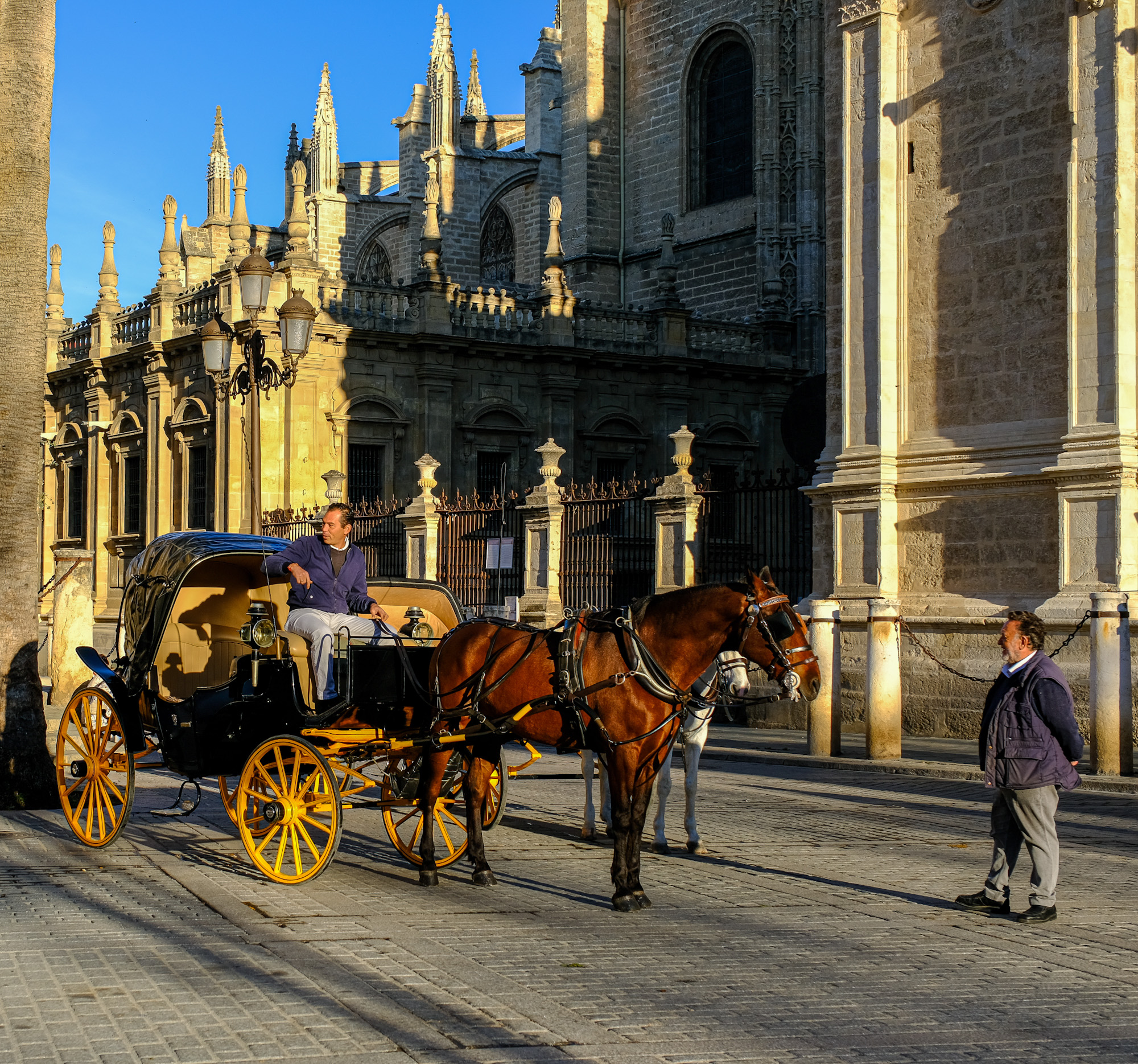 Traditional carriage before the Cathedral on a quiet sunny morning in Seville