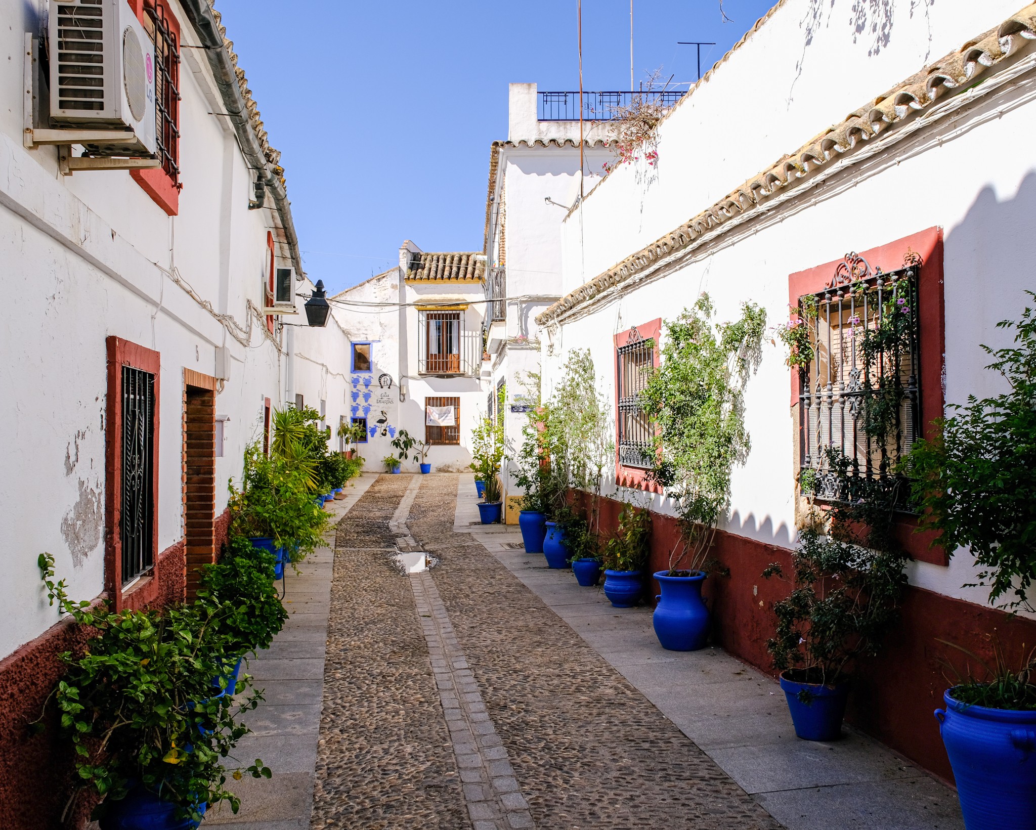 Patios under the sun in Cordoba Andalusia