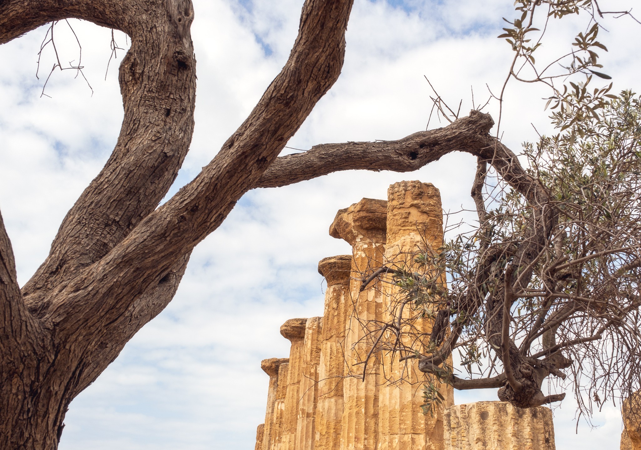 Fragments of the Valley of the Temples in Agrigento Sicily