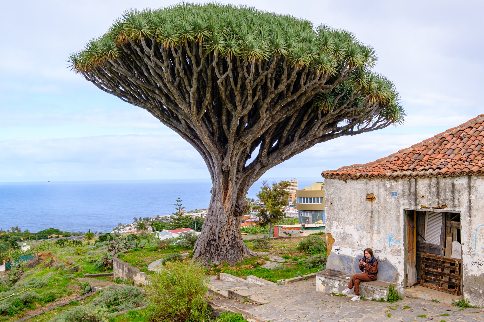 A quiet afternoon in Tenerife