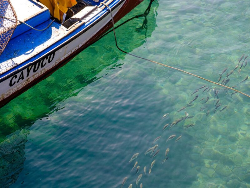 Lazy days in Puerto de la Cruz Tenerife