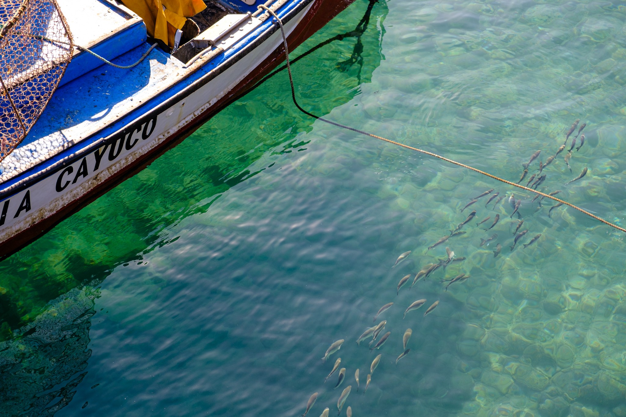Lazy days in Puerto de la Cruz Tenerife