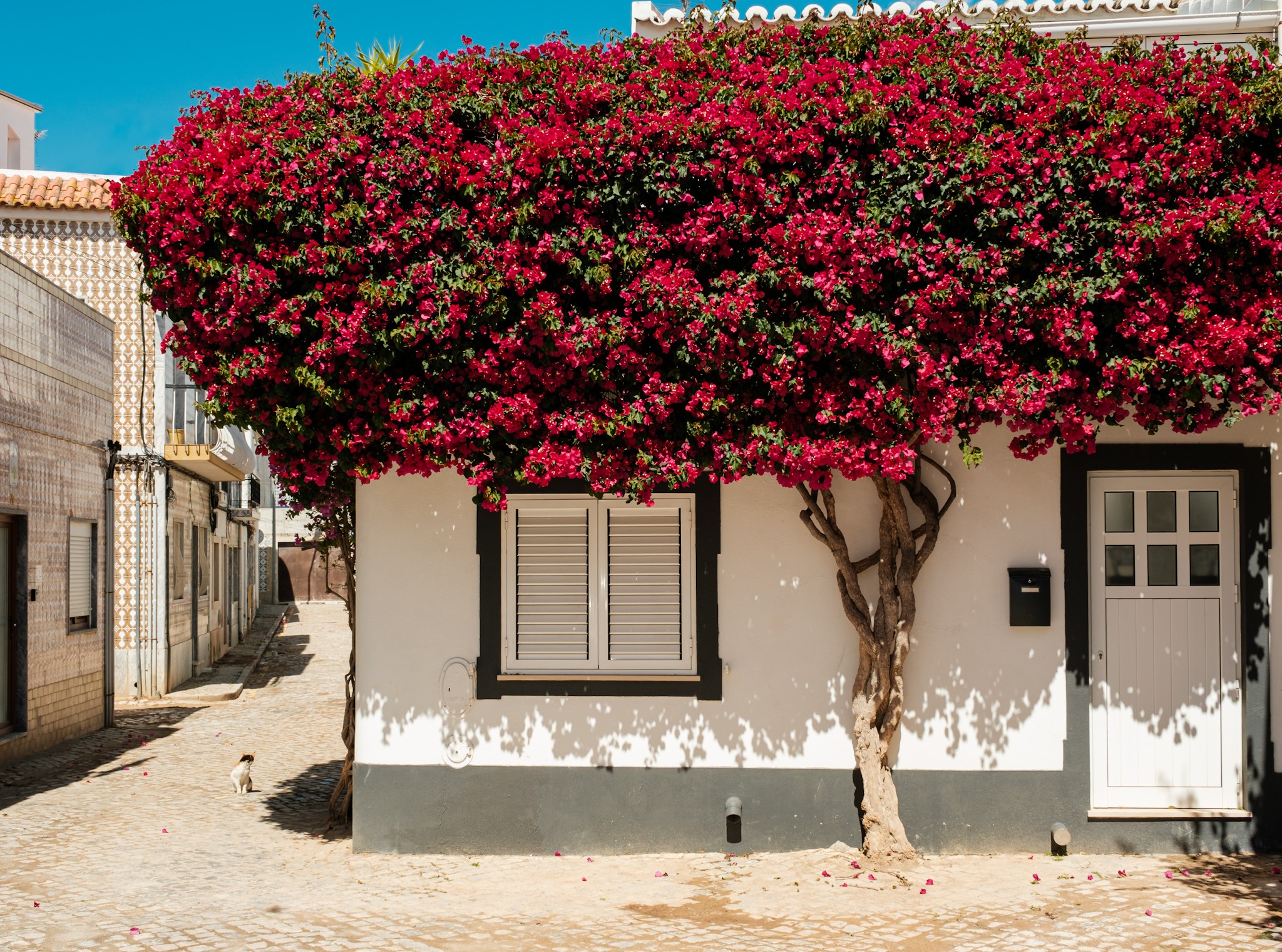 Beautiful streets of Tavira Algarve